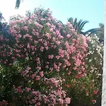 Digkas *