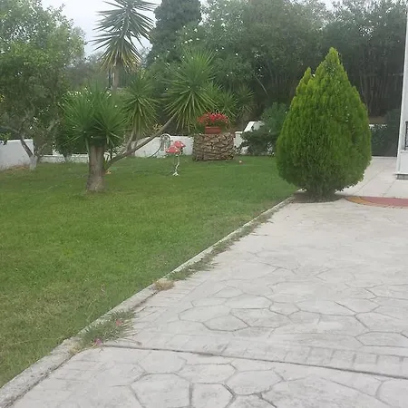 Digkas * Kato Korakiana